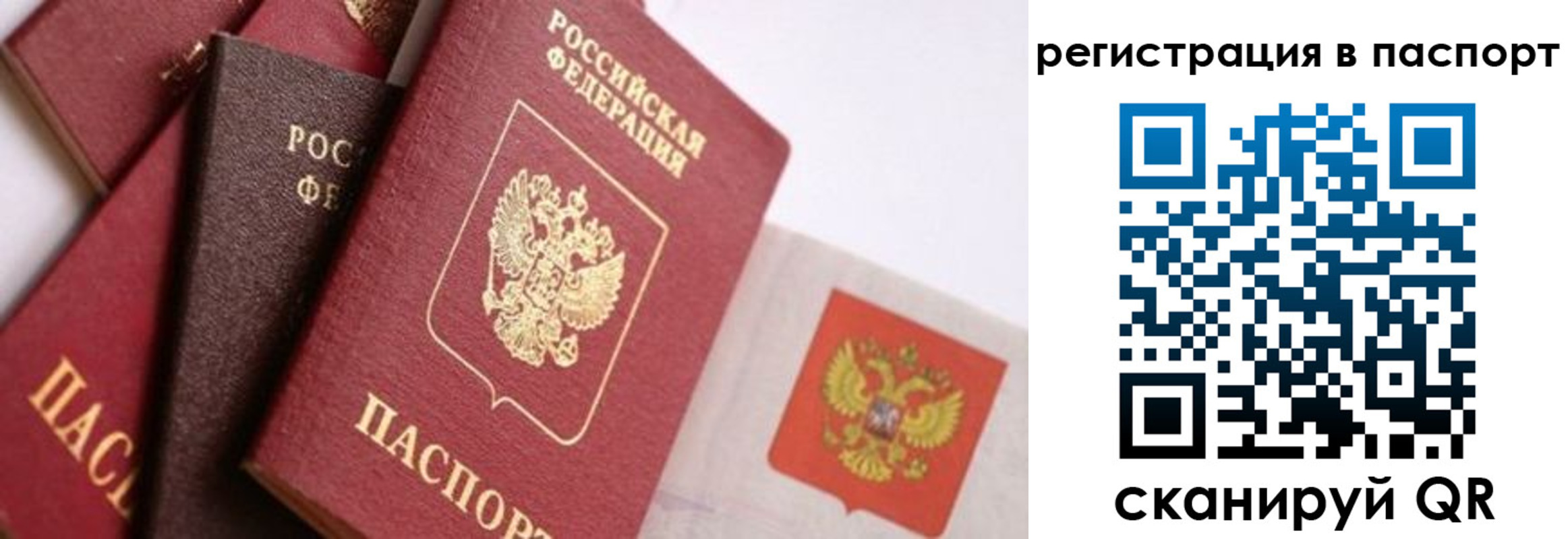 прописка в квартире в Константиновске